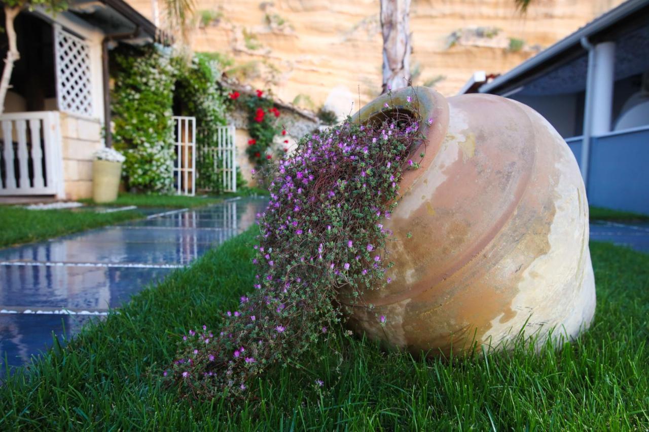 Oldwell Hotel Santa Domenica  Luaran gambar